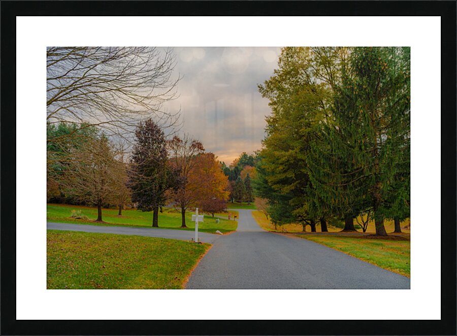  Fine Art print