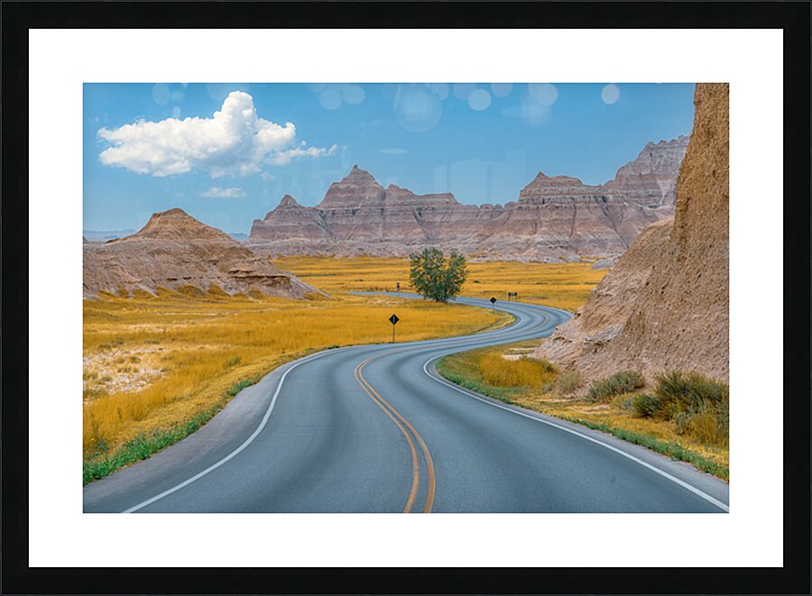  Fine Art print