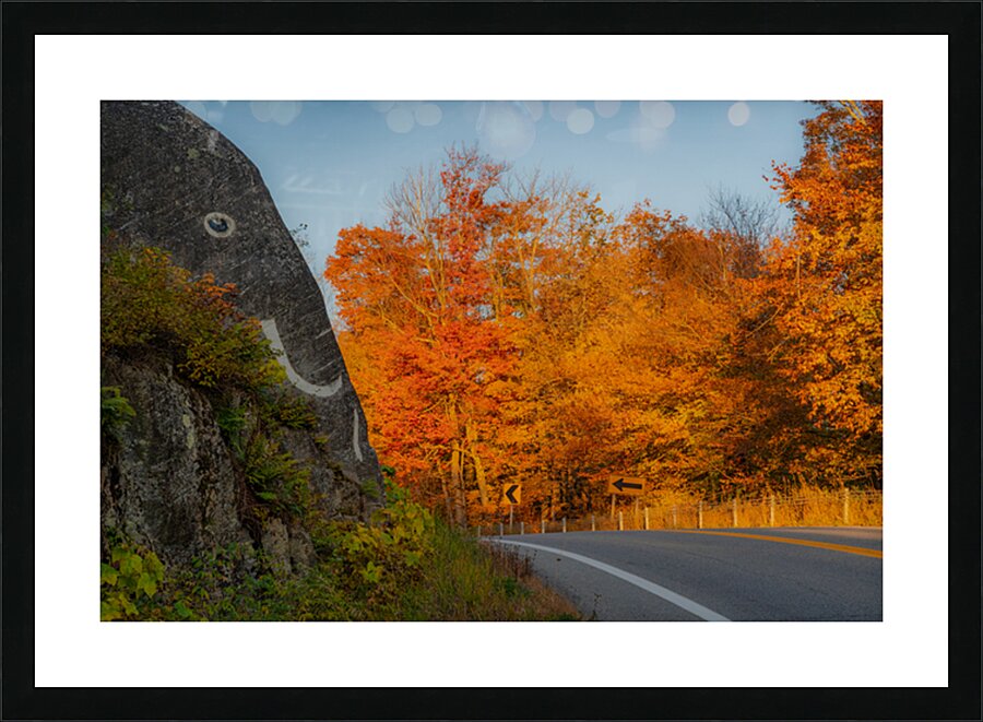  Fine Art print