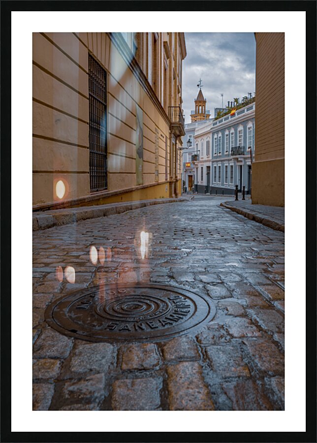  Fine Art print