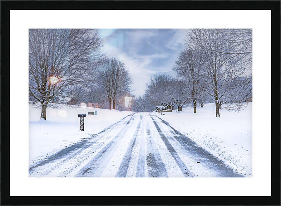  Fine Art print