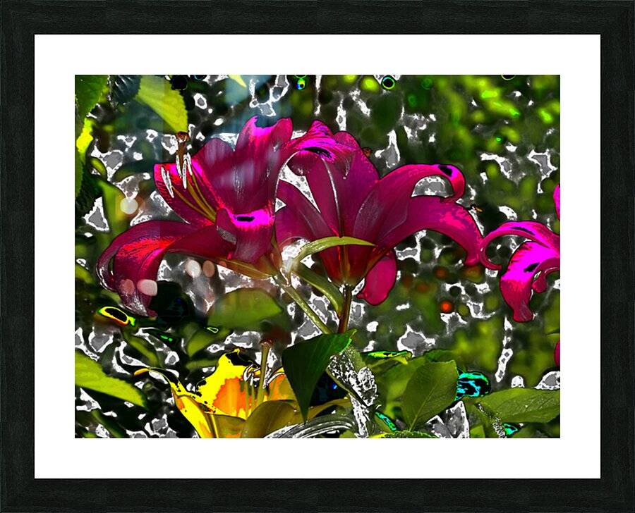  Abstract Vivid Lily Flowers                                                                                                                       Picture Frame print