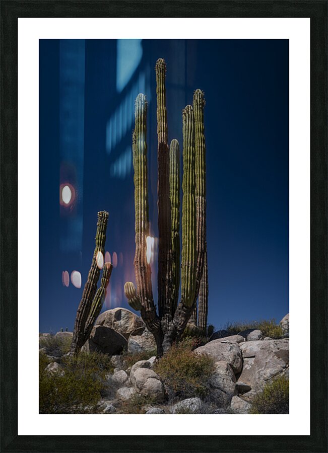  Fine Art print