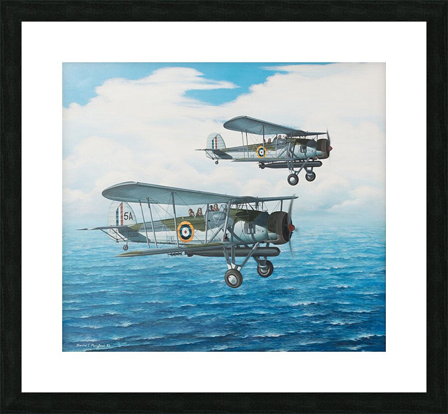 Torpedo bi planes 20 58 x 23 Picture Frame print