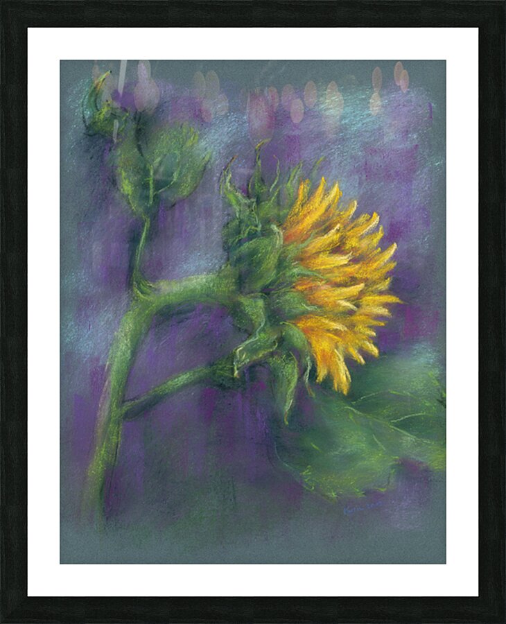 Single sunflower soft pastels painting Picture Frame print