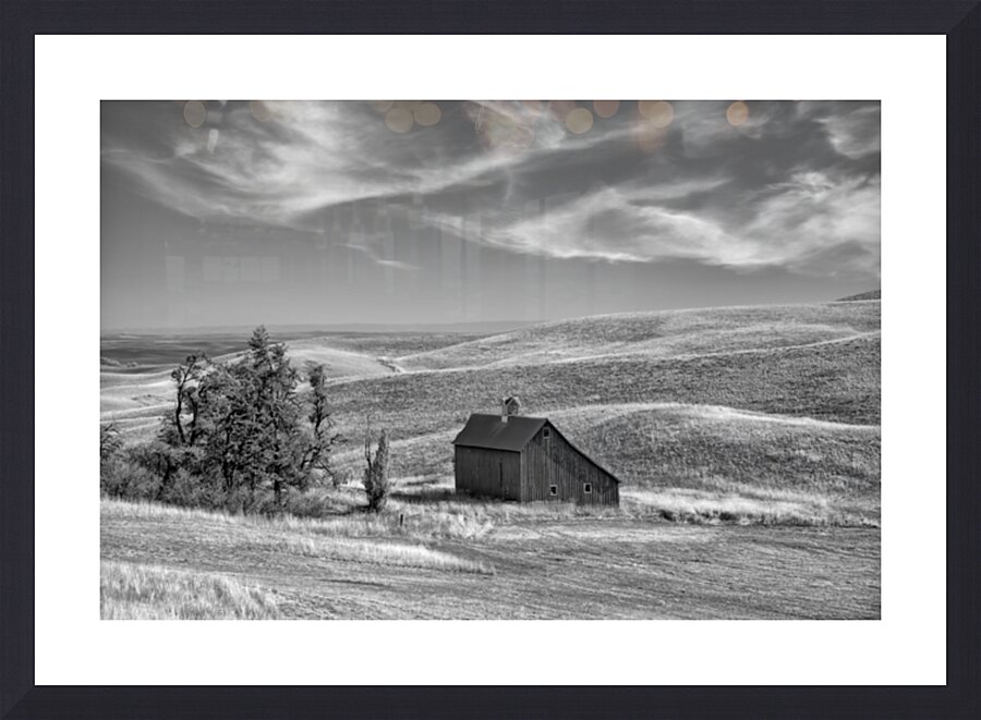  Fine Art print
