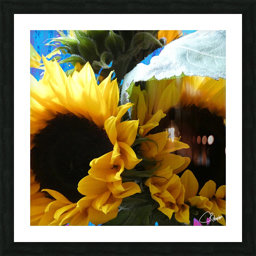 Vibrant Summer Sunflowers Picture Frame print