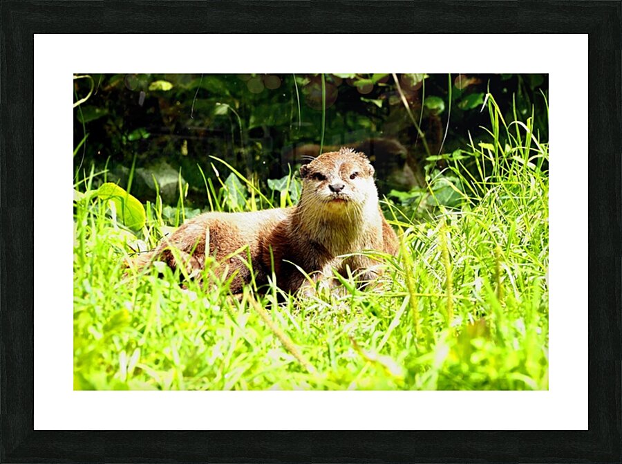  Fine Art print