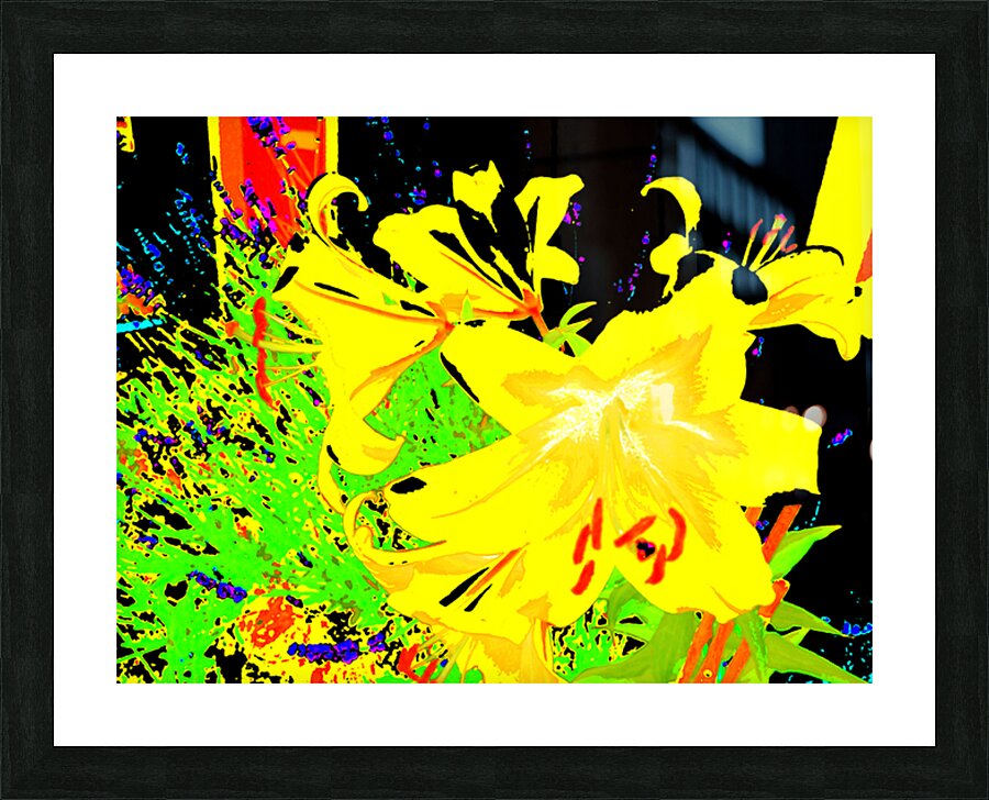   Vibrant Abstract Lilies                                                                                                                    Picture Frame print
