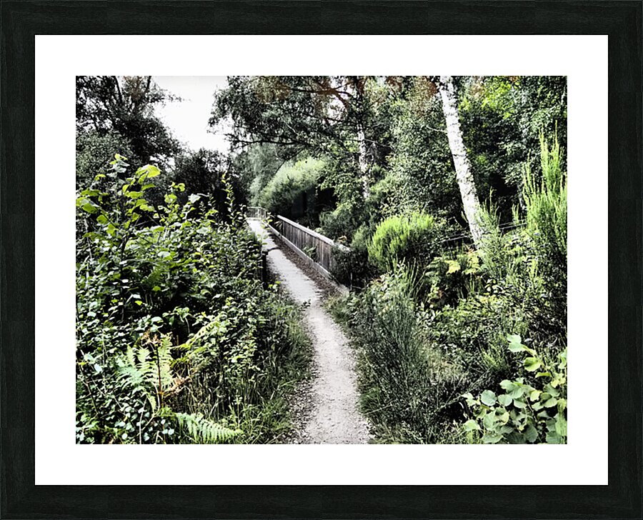  Summers Bridge through the Scottish Highlands                                                                                                                     Picture Frame print