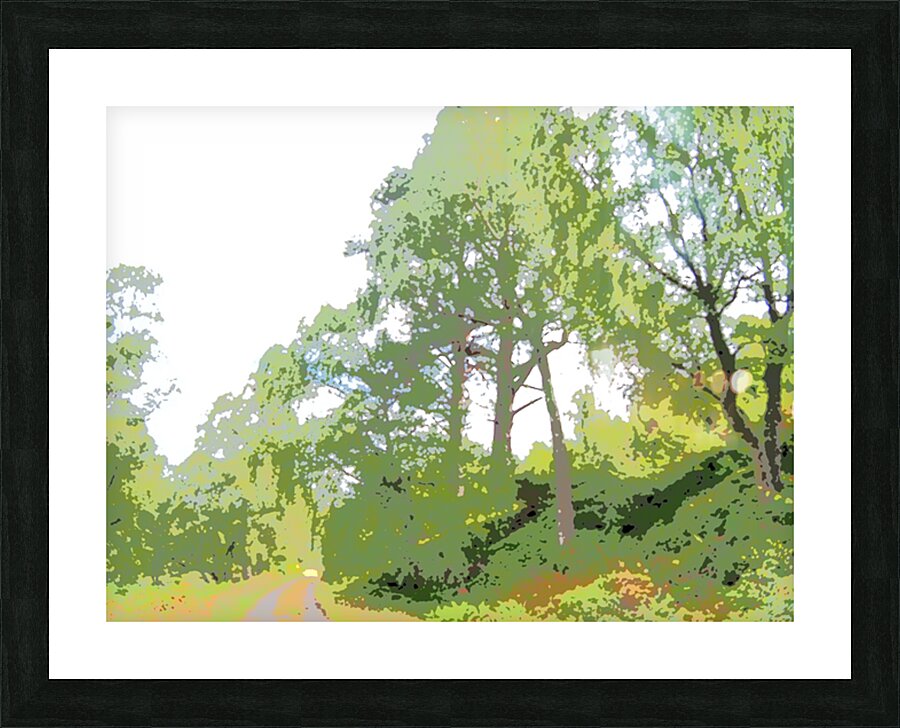 Abstract Forest in the Scottish Highlands                                                                                                                       Picture Frame print