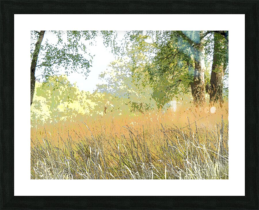 Summers Delight in the Scottish Highlands                                                                                                                      Picture Frame print