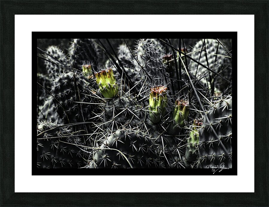 Protected Blossoms Picture Frame print