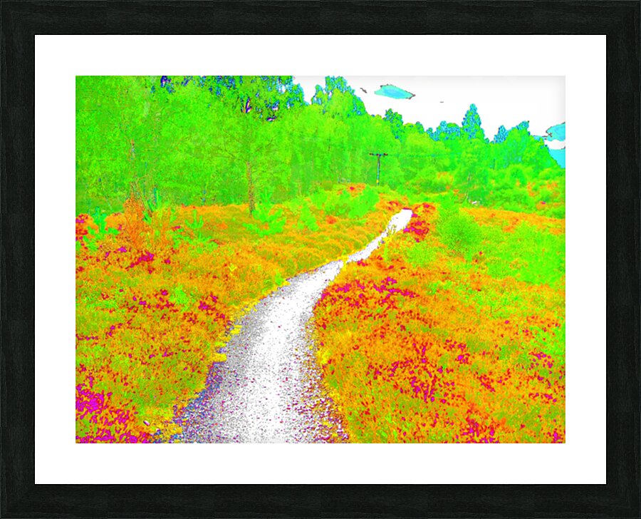  Surreal Nature Path through the Scottish Highlands                                                                                                                     Picture Frame print