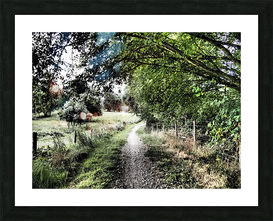 Natures Summer Path through the Scottish Highlands                                                                                                                     Picture Frame print