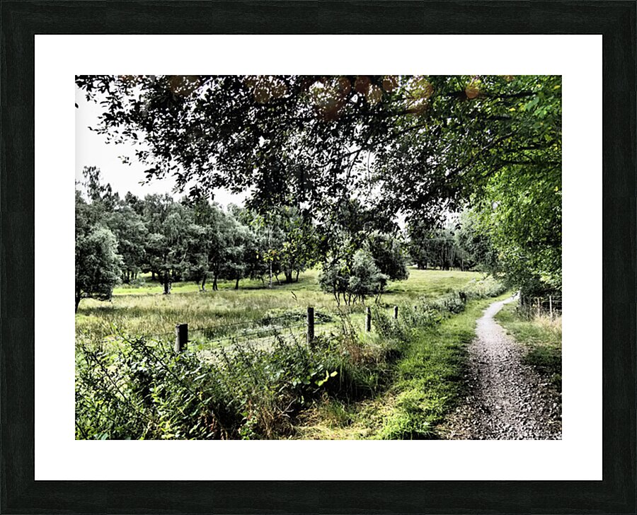 Summer Path in the Scottish Highlands                                                                                                                      Picture Frame print