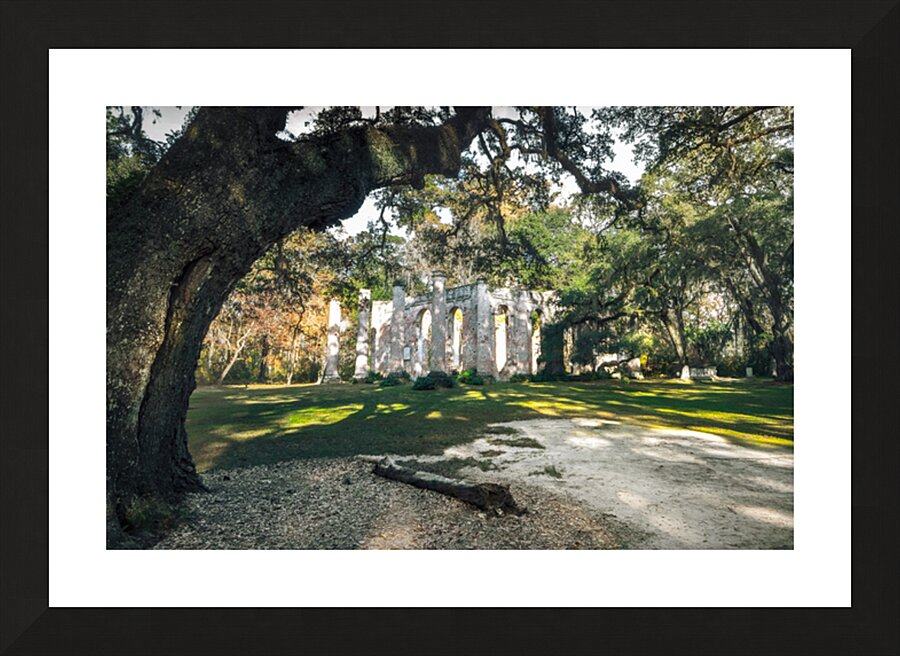 Old Sheldon Church Panorama Picture Frame print