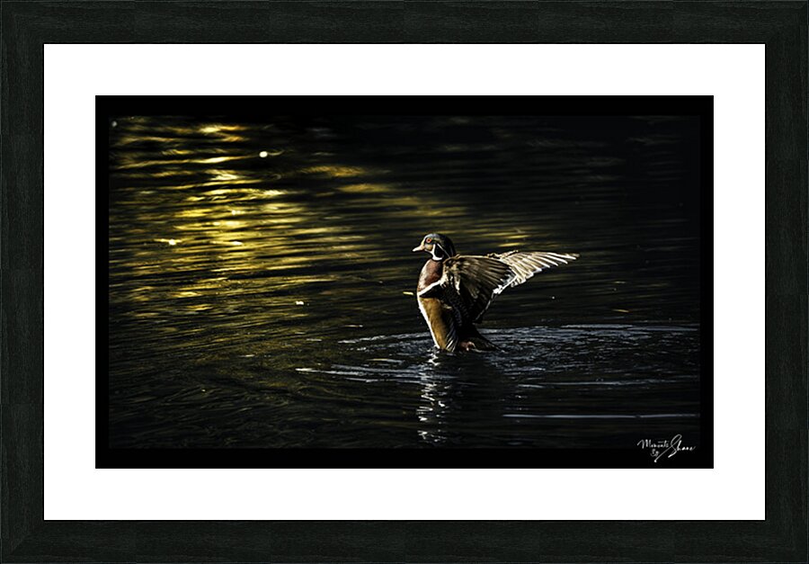 Morning Stretch Picture Frame print