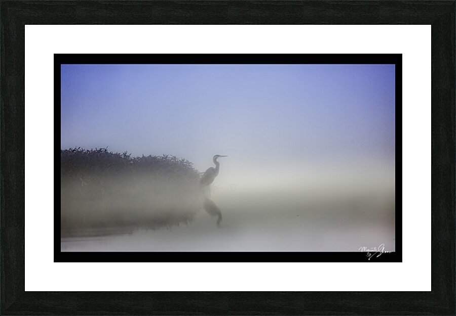 Patient Picture Frame print