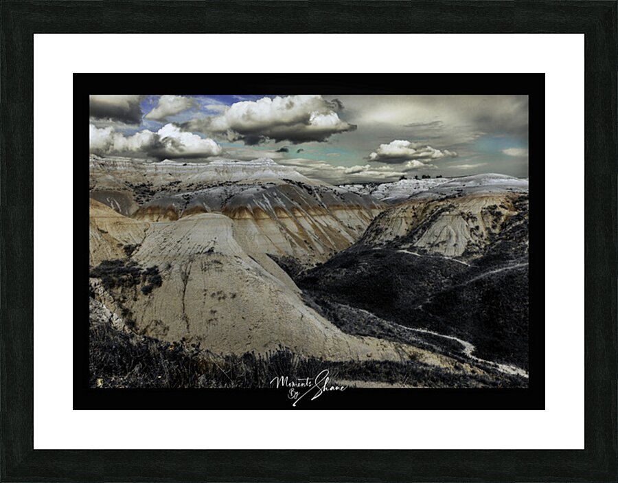 In a Mood Picture Frame print