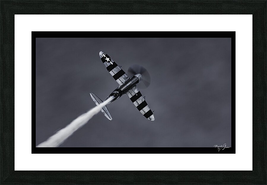 War Bird 1 Picture Frame print