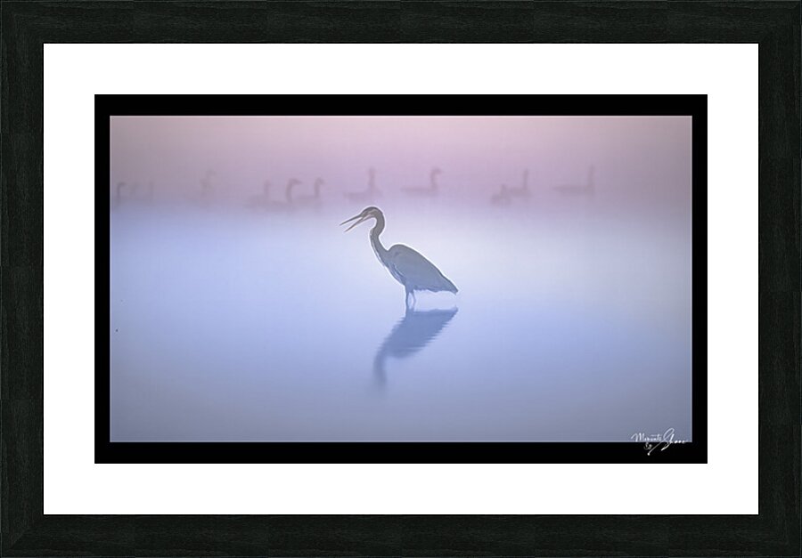 Early Birds Picture Frame print