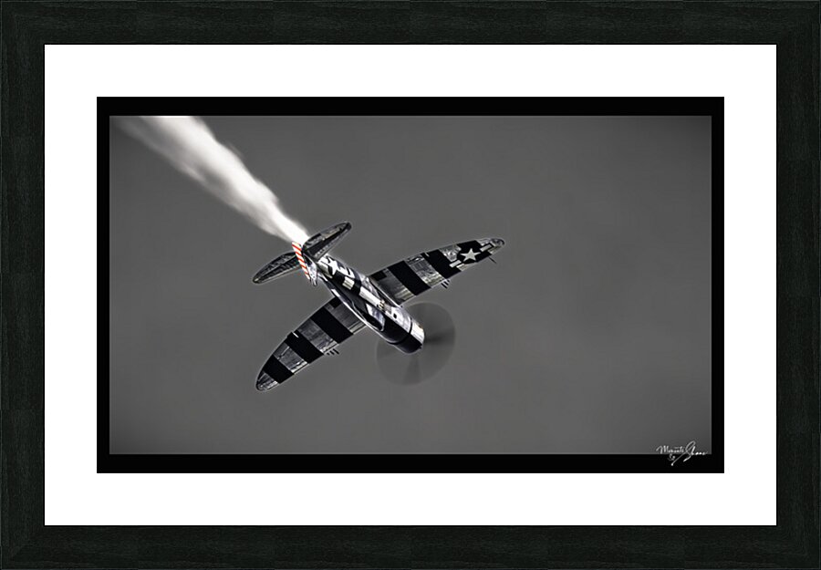 War Bird 2 Picture Frame print