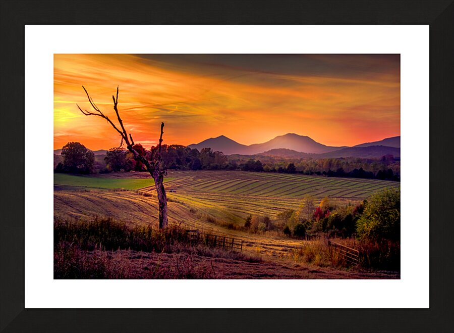 Serene Sunset over Rolling Fields Picture Frame print