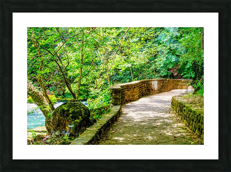 Pathway To Big Spring Picture Frame print