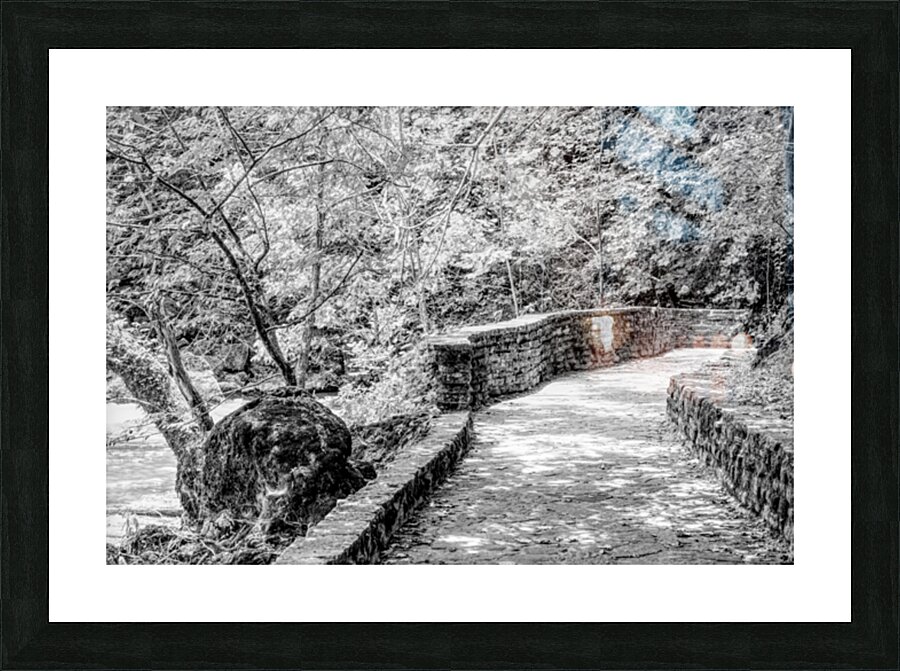 Pathway To Big Spring Grayscale Picture Frame print