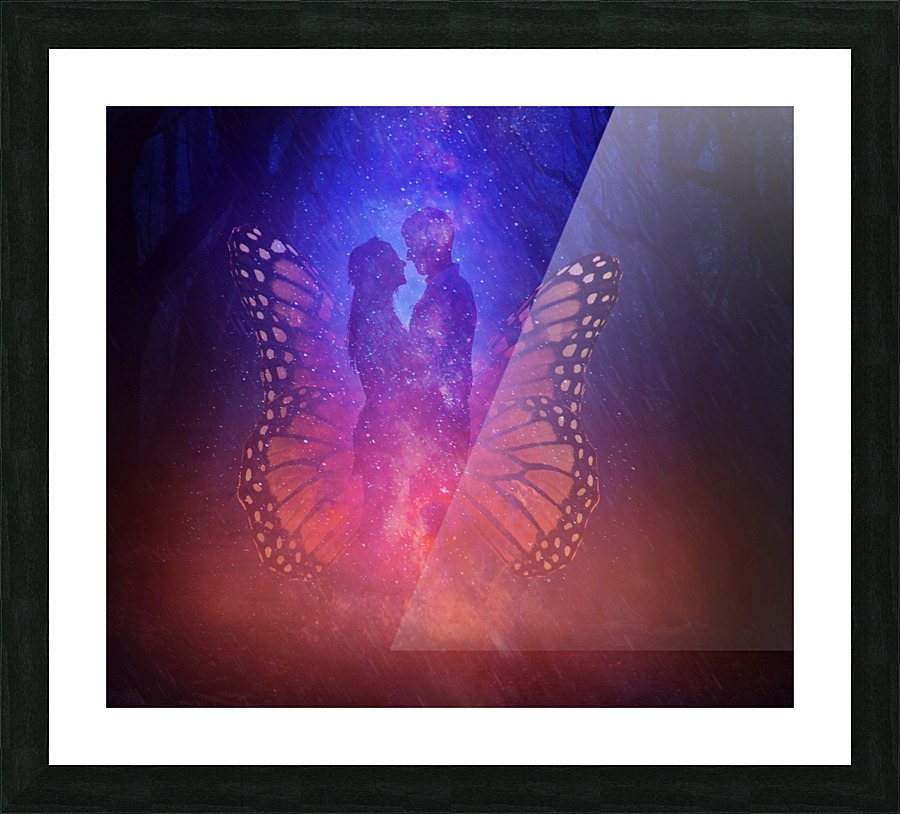 Butterfly Picture Frame print