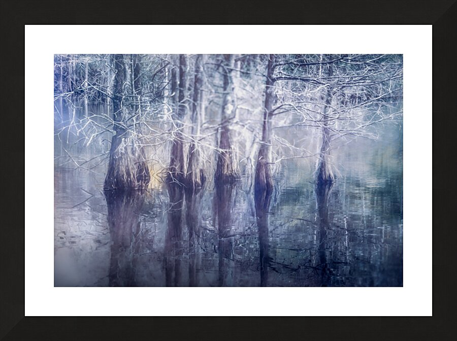 Ethereal Reflections of Winter Trees Picture Frame print