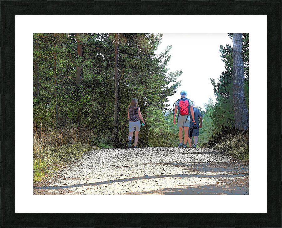  Walking the Forest Trails in the Scottish Highlands                                                                                                                     Picture Frame print