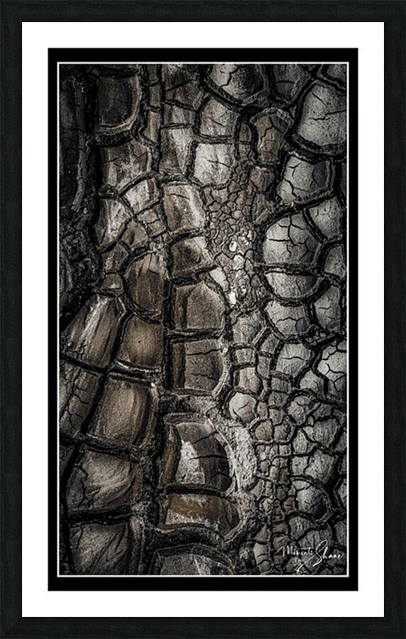 Drought after the Rain Picture Frame print