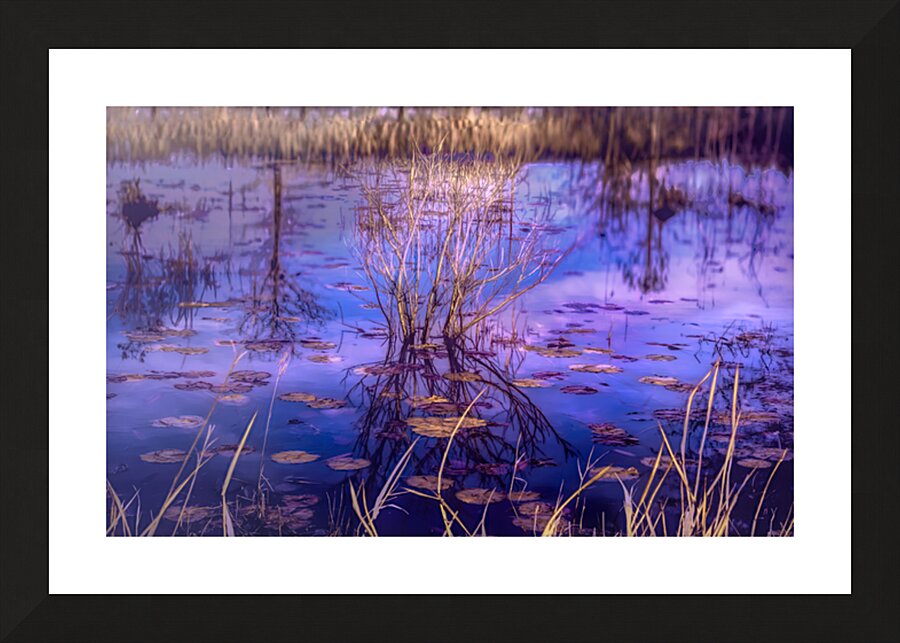 Tranquil Reflections at Dusk Picture Frame print