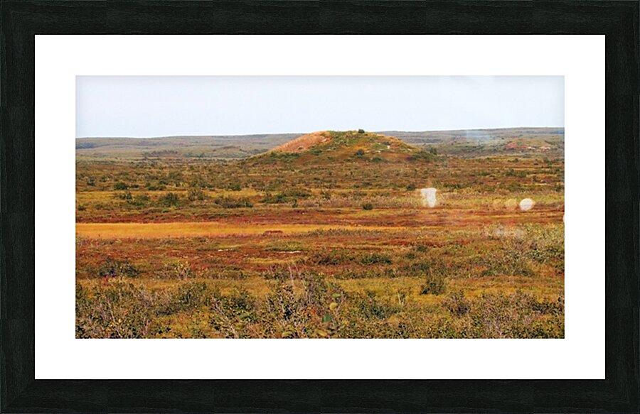 Pingo And Tundra Picture Frame print