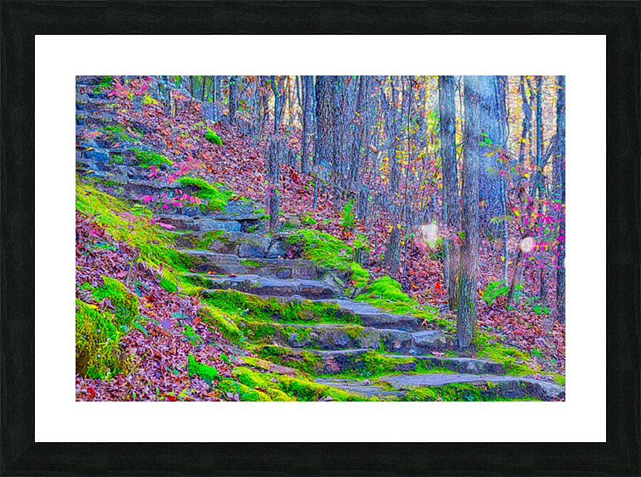 FOREST STAIRCASE  Picture Frame print