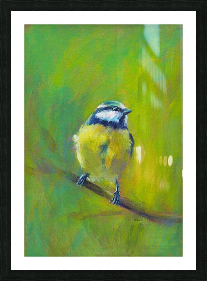 Portrait of Eurasian blue tit acrylic painting  Picture Frame print