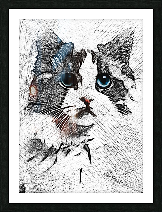 1001 Sketch Art RD mata biru Picture Frame print