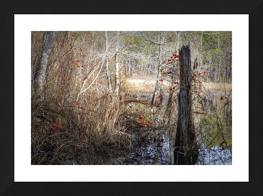 Serene Woodland Marsh Winter Berries Picture Frame print