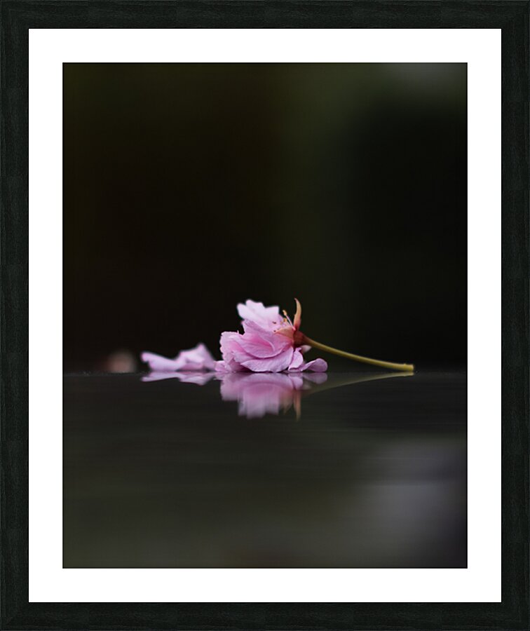 Sleeping Beauty Picture Frame print