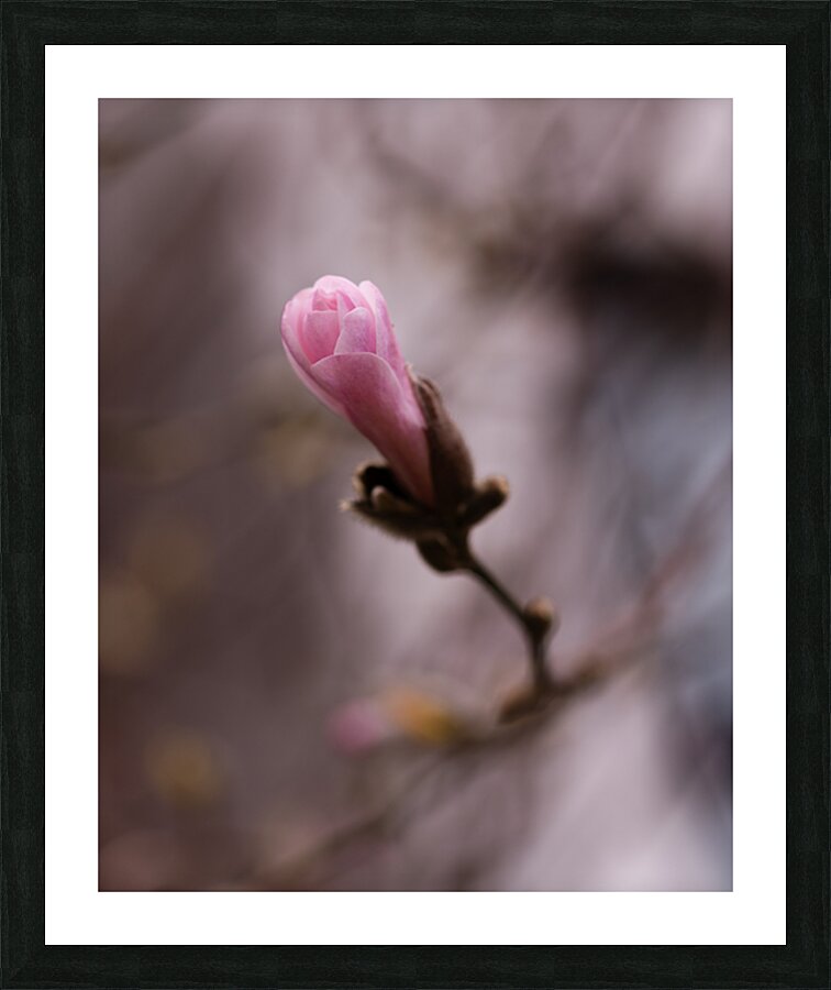 Second Chances Picture Frame print