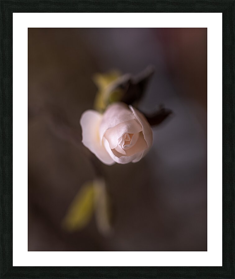 New Beginnings Picture Frame print