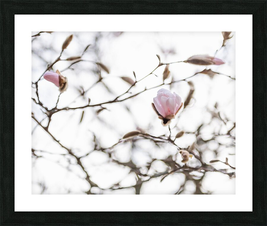 Reverie Picture Frame print