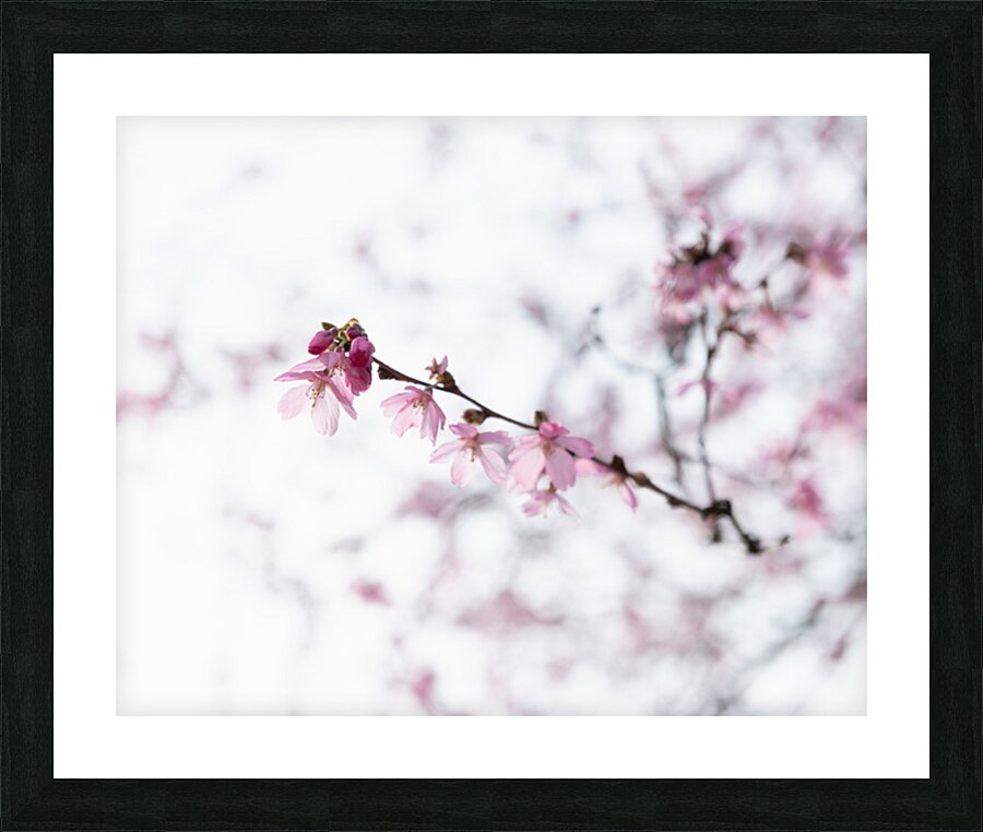 Awakenings Picture Frame print