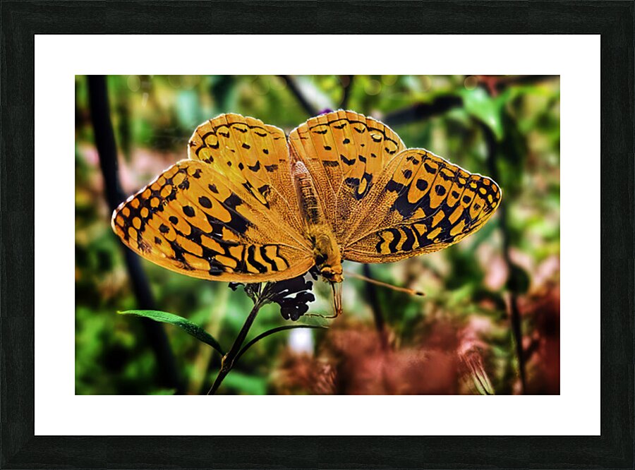 Feeding in the Light Picture Frame print