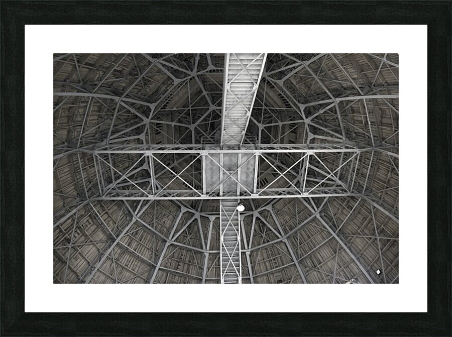 Ants Picture Frame print