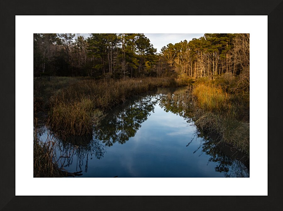  National Forest Tranquil Reflections Picture Frame print