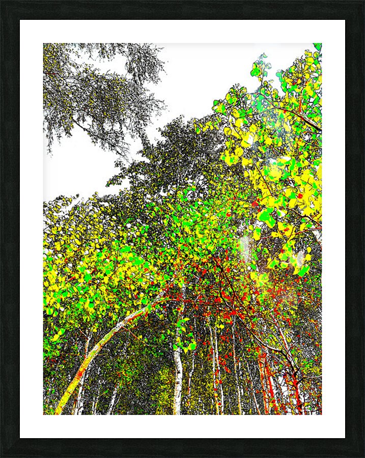 Abstract Vivid Forest Canopy                                                                                                                      Picture Frame print