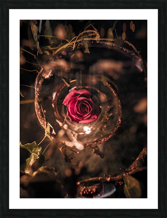 Burned Flower Picture Frame print